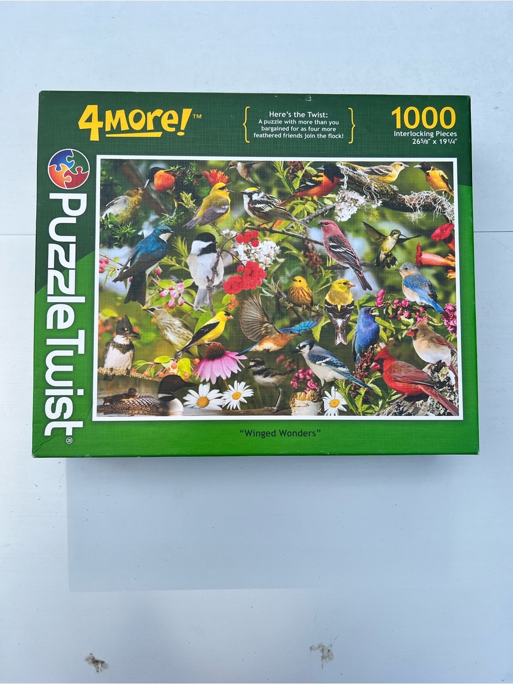 4More! Puzzle Twist MN 1000-Piece Jigsaw Puzzle in Green - Winged Wonders